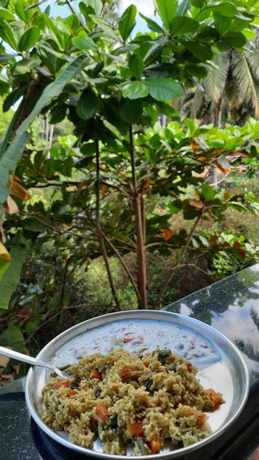 Tropical Wave Hostel Morjim Goa 외부 사진